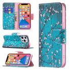 For iPhone 13 Pro Colored Drawing Pattern Horizontal Flip Leather Case with Holder & Card Slots & Wallet (Plum Blossom) - 1