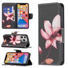 For iPhone 13 Pro Max Colored Drawing Pattern Horizontal Flip Leather Case with Holder & Card Slots & Wallet (Lotus) - 1