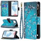 For OPPO Realme C21/C20 Colored Drawing Pattern Zipper Horizontal Flip Leather Case with Holder & Card Slots & Wallet(Plum Blossom) - 1