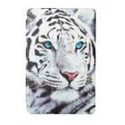 Silk Texture Colored Drawing Pattern Horizontal Flip Magnetic PU Leather Tablet Case with Three-folding Holder & Sleep / Wake-up Function For iPad Pro 11 2021 / 2020 / 2018(Tiger) - 2
