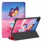 Silk Texture Colored Drawing Pattern Horizontal Flip Magnetic PU Leather Tablet Case with Three-folding Holder & Sleep / Wake-up Function For iPad Pro 11 2021 / 2020 / 2018(Cat and Butterfly) - 1