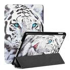 Silk Texture Colored Drawing Pattern Horizontal Flip Magnetic PU Leather Case with Three-folding Holder & Sleep / Wake-up Function For iPad 5 / 4 / 3 / 2 / 1(Tiger) - 1