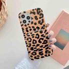 IMD Pattern TPU Case with Card Slot For iPhone 11(Brown Black Leopard) - 1