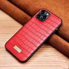 For iPhone 13 Pro SULADA Crocodile Texture TPU Protective Case (Red) - 1