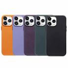 R-JUST Shockproof Magnetic Cowhide Leather Magsafe Case For iPhone 13 Pro(Black) - 2