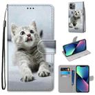 For iPhone 13 mini Coloured Drawing Cross Texture Horizontal Flip PU Leather Case with Holder & Card Slots & Wallet & Lanyard (Small Gray Cat) - 1