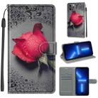 For iPhone 13 Pro Voltage Colored Drawing Magnetic Clasp Horizontal Flip PU Leather Case with Holder & Card Slots (C14 Black Water Drop Rose) - 1