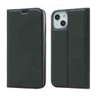 For iPhone 13 mini Magnetic Suction Electric Pressed Horizontal Flip Leather Case with Holder (Grey) - 1