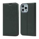 For iPhone 13 Pro Magnetic Suction Electric Pressed Horizontal Flip Leather Case with Holder (Grey) - 1