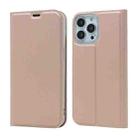 For iPhone 13 Pro Max Magnetic Suction Electric Pressed Horizontal Flip Leather Case with Holder (Rose Gold) - 1