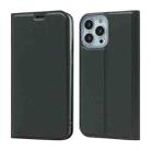 For iPhone 13 Pro Max Magnetic Suction Electric Pressed Horizontal Flip Leather Case with Holder (Grey) - 1