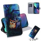 For iPhone 13 mini Coloured Drawing Horizontal Flip Leather Case, with Holder & Card Slots & Wallet (Oil Painting Owl) - 1