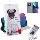 For iPhone 13 mini Coloured Drawing Horizontal Flip Leather Case, with Holder & Card Slots & Wallet (Pug) - 1