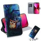 For iPhone 13 Coloured Drawing Horizontal Flip Leather Case, with Holder & Card Slots & Wallet(Oil Painting Owl) - 1