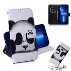 For iPhone 13 Pro Coloured Drawing Horizontal Flip Leather Case, with Holder & Card Slots & Wallet (Panda) - 1