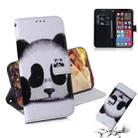 For iPhone 13 Pro Max Coloured Drawing Horizontal Flip Leather Case, with Holder & Card Slots & Wallet (Panda) - 1