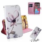 For iPhone 13 Pro Max Coloured Drawing Horizontal Flip Leather Case, with Holder & Card Slots & Wallet (Magnolia Flower) - 1