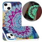 For iPhone 13 Luminous TPU Soft Protective Case(Half Flower) - 1