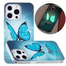For iPhone 13 Pro Luminous TPU Soft Protective Case (Butterfly) - 1