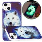 For iPhone 13 Luminous TPU Soft Protective Case(Starry Sky Wolf) - 1