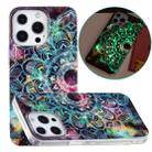 For iPhone 13 Pro Luminous TPU Soft Protective Case (Mandala Flower) - 1