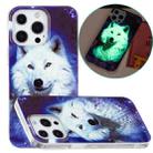 For iPhone 13 Pro Max Luminous TPU Soft Protective Case (Starry Sky Wolf) - 1