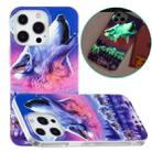 For iPhone 13 Pro Max Luminous TPU Soft Protective Case (Seven Wolves) - 1