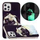 For iPhone 13 Pro Luminous TPU Pattern Soft Protective Case (Glasses Dog) - 1