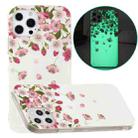 For iPhone 13 Pro Max Luminous TPU Pattern Soft Protective Case (Cherry Blossoms) - 1