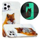 For iPhone 13 Pro Max Luminous TPU Pattern Soft Protective Case (White Fox) - 1