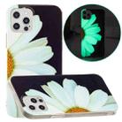 For iPhone 12 Pro Max Luminous TPU Pattern Soft Protective Case(Daisies) - 1