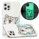 For iPhone 12 Pro Max Luminous TPU Pattern Soft Protective Case(Happy Cat) - 1