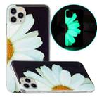 For iPhone 11 Pro Luminous TPU Pattern Soft Protective Case (Daisies) - 1