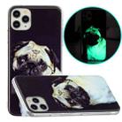 For iPhone 11 Pro Luminous TPU Pattern Soft Protective Case (Glasses Dog) - 1
