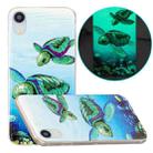 For iPhone XR Luminous TPU Pattern Soft Protective Case(Sea Turtle) - 1
