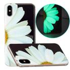 Luminous TPU Pattern Soft Protective Case For iPhone XS Max(Daisies) - 1