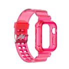 Silicone Integrated Watch Band For Apple Watch Series 8&7 41mm / SE 2&6&SE&5&4 40mm / 3&2&1 38mm(Transparent Rose Red) - 1