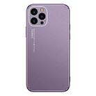 Cool Frosted Metal TPU Shockproof Case For iPhone 12 Pro(Purple) - 1