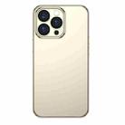 For iPhone 13 Pro TOTUDESIGN AA-155 Soft Jane Series Hardcover Edition Shockproof Electroplating TPU Protective Case (Gold) - 1