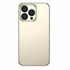 For iPhone 13 Pro Max TOTUDESIGN AA-155 Soft Jane Series Hardcover Edition Shockproof Electroplating TPU Protective Case (Gold) - 1