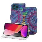 3D Painting Pattern Coloured Drawing Horizontal Flip PU Leather Case with Holder & Card Slots & Wallet For iPhone 13 Pro Max(Oil Painting Mandala) - 1