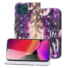 3D Painted Pattern Horizontal Flip Leather Case with Holder & Wallet & Card slot & Lanyard For iPhone 13 Pro(Wind Chime Wolf) - 1
