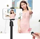 Desktop Stand Mobile Phone Tablet Live Broadcast Stand Telescopic Disc Stand(White) - 5