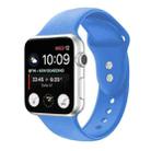 Double Nail Silicone Strap Watch Band For Apple Watch Series 9&8&7 41mm / SE 3&SE 2&6&SE&5&4 40mm / 3&2&1 38mm(Blue) - 1