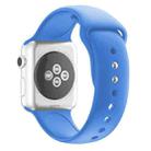 Double Nail Silicone Strap Watch Band For Apple Watch Series 9&8&7 41mm / SE 3&SE 2&6&SE&5&4 40mm / 3&2&1 38mm(Blue) - 2