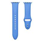 Double Nail Silicone Strap Watch Band For Apple Watch Series 9&8&7 41mm / SE 3&SE 2&6&SE&5&4 40mm / 3&2&1 38mm(Blue) - 3