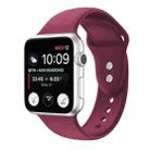 Double Nail Silicone Strap Watch Band For Apple Watch Series 8&7 41mm / SE 2&6&SE&5&4 40mm / 3&2&1 38mm(Wine Red) - 1