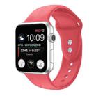 Double Nail Silicone Strap Watch Band For Apple Watch Series 8&7 41mm / SE 2&6&SE&5&4 40mm / 3&2&1 38mm(Watermelon Pink) - 1