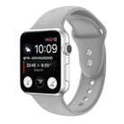 Double Nail Silicone Strap Watch Band For Apple Watch Ultra 49mm / Series 8&7 45mm / SE 2&6&SE&5&4 44mm / 3&2&1 42mm(Grey) - 1
