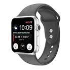 Double Nail Silicone Strap Watch Band For Apple Watch Ultra 49mm / Series 8&7 45mm / SE 2&6&SE&5&4 44mm / 3&2&1 42mm(Dark Grey) - 1